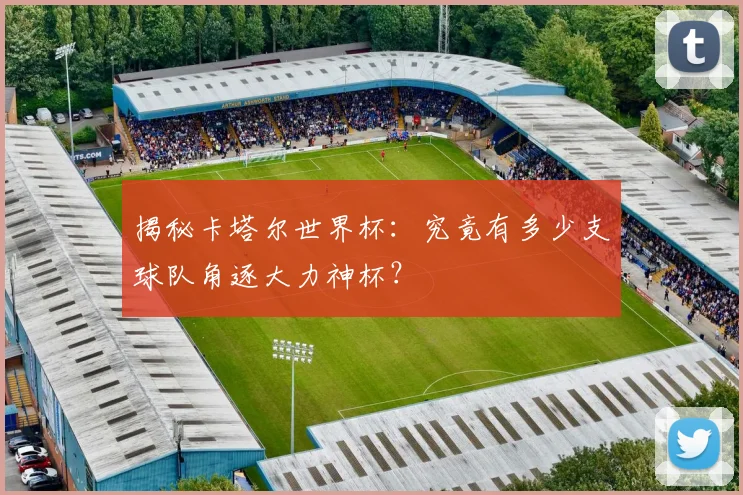 揭秘卡塔尔世界杯：究竟有多少支球队角逐大力神杯？