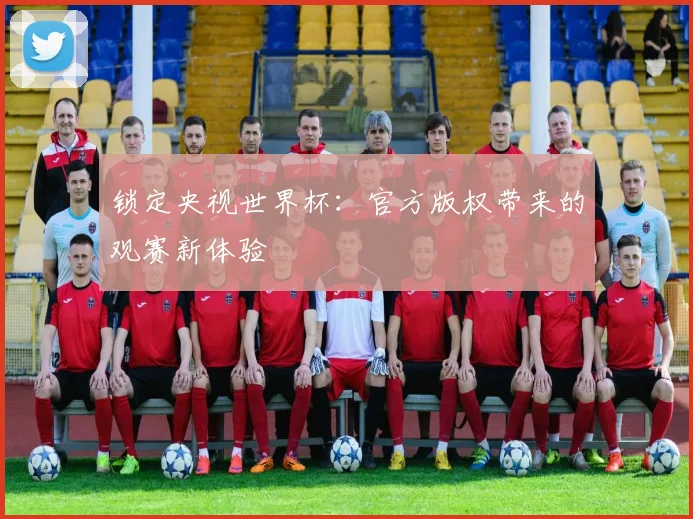 锁定央视世界杯：官方版权带来的观赛新体验