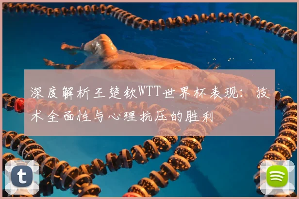 深度解析王楚钦WTT世界杯表现：技术全面性与心理抗压的胜利