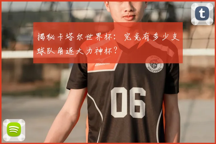 揭秘卡塔尔世界杯:究竟有多少支球队角逐大力神杯?